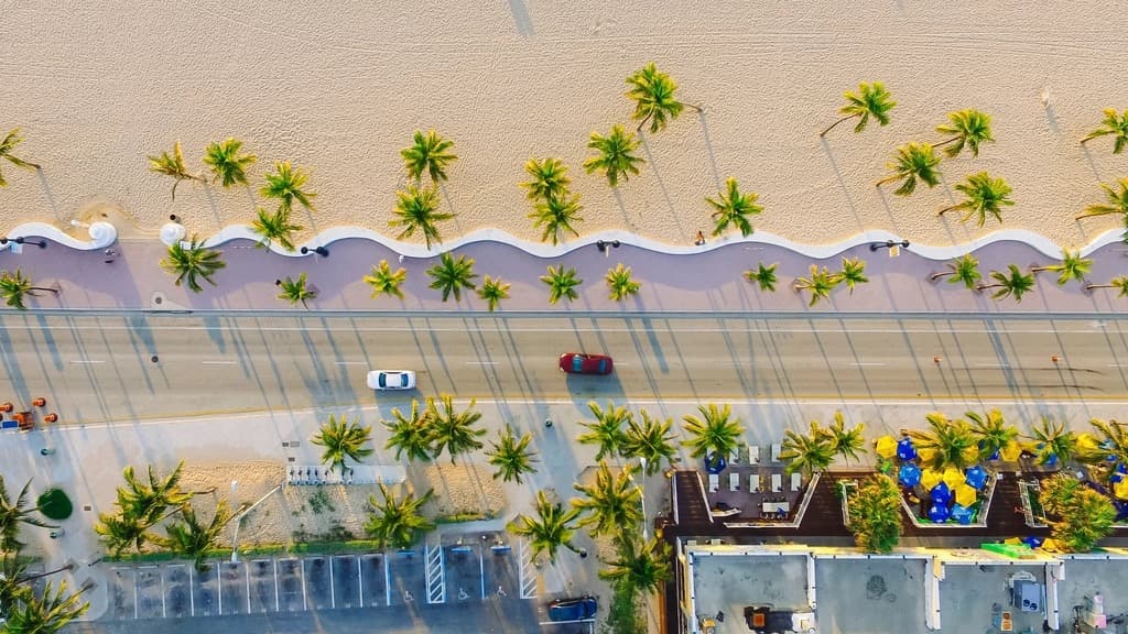 Aerial view of a palm-lined Florida beachfront road with cars driving