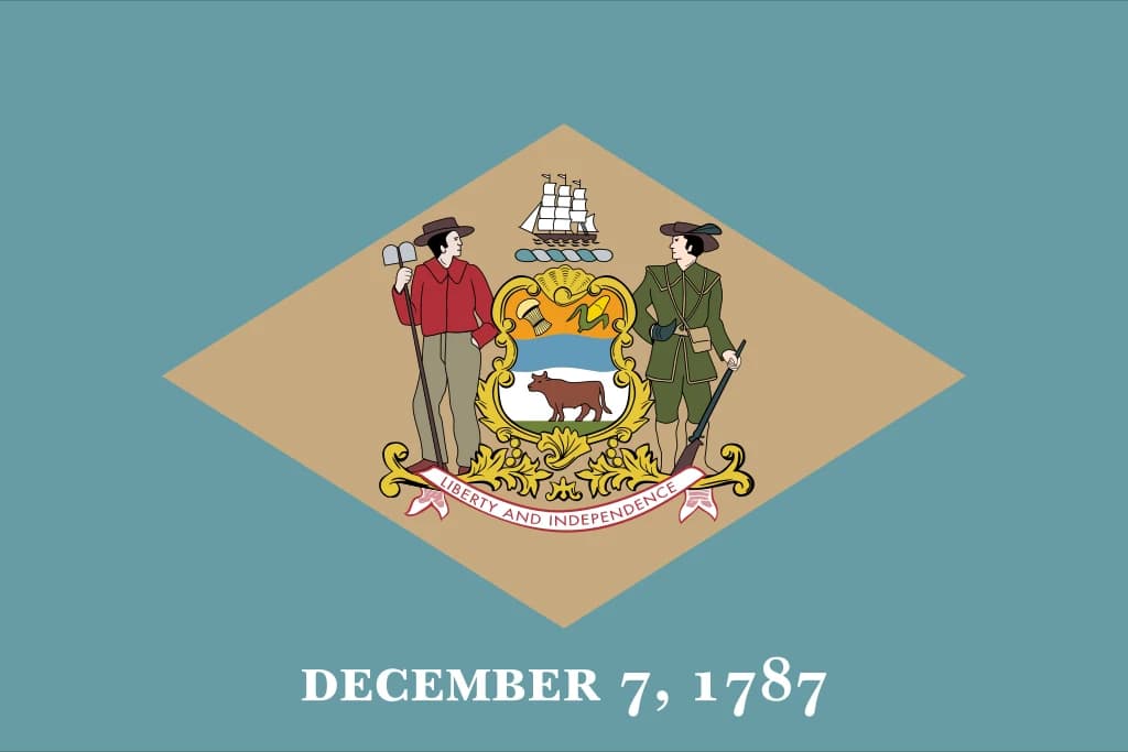 Delaware state flag